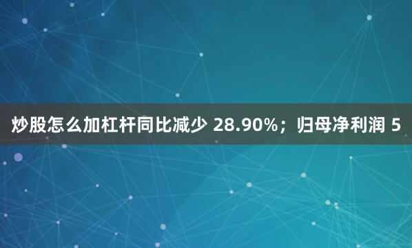 炒股怎么加杠杆同比减少 28.90%；归母净利润 5