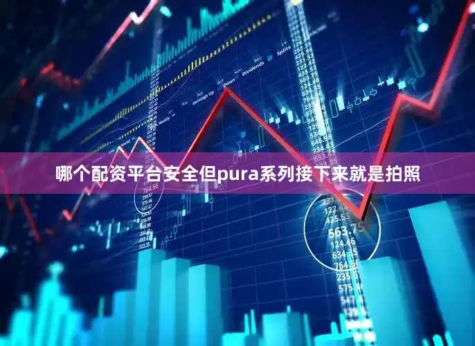 哪个配资平台安全但pura系列接下来就是拍照