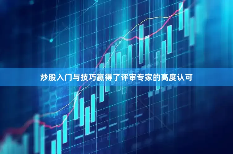 炒股入门与技巧赢得了评审专家的高度认可
